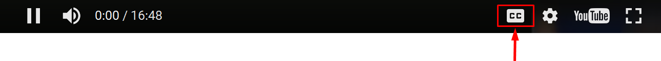 cc subtitle video